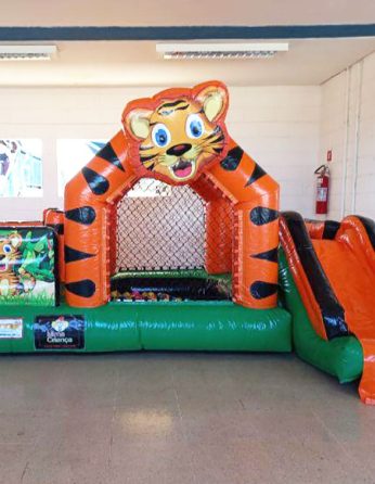 multiatividades-tigre-n